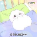 흥일수제비 네이버블로그