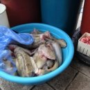 후포식당 이미지