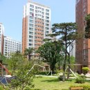 대림아파트 단지 내 이미지