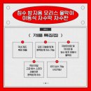모리스앤코 주식회사 이미지