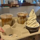 여행: 이모네생선찜, 돌체테리아, 포토이즘 강릉, 안목해변, 갤러리밥스, 두딩, 강릉소품샵 (25.02.23~24)