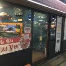 명량돼지 이미지