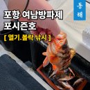포시즌 | 포항 볼락열기 선상낚시 포시즌호 출조 후기