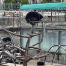 세종파크 | 세종 베어트리파크 후기｜곰 이렇게 가까이서 본다고? 입장료·관람팁 총정리