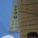 예술치유연구소앨리스와토끼 - 성동구 성수일로12길 20 | 예술 치유연구소 엘리스와 토끼 포틀럭파티
