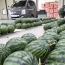 청과물처리장 이미지