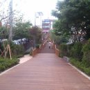 구서동 도시숲 이미지