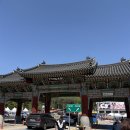 양평빵나들이 | 서울근교 봄나들이 양평 용문산 산나물축제🌸 후기