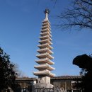 강진-16 Daum카페