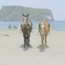 포에버농장 이미지