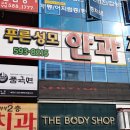 푸른성모안과