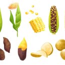 임재환 복싱월드 이미지