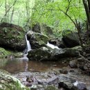 유치자연휴양림 이미지