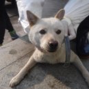 하신상로 이미지