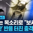 SBS 뉴스 UAP(UFO) 영상 이미지