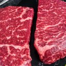 주식회사고기고기 이미지