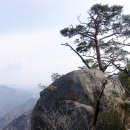 황정산 [黃庭山] 959m - 충청북도 단양군 대강면 황정리 이미지