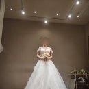 다모여 | 제이스포사 촬영 드레스 가봉 후기 | 웜톤 스트레이트 체형 다 모여 드레스 무보정 사진 공개