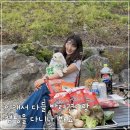 용인 애견동반 캠핑장 후기 첫 강아지 캠핑에서 여름 추억 쌓기