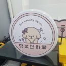 댕복한하루 이미지