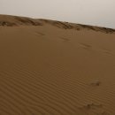 돗토리