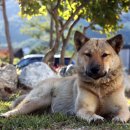 바다에걸린별 이미지