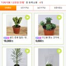 단골플라워가든