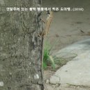 반데르발스힘 이미지