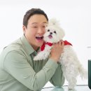 꽃분이 헤어
