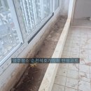 석호화장실 | 순천탄성 잘하는 전문업체 순천 석호가람휘 베란다탄성 후기