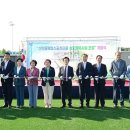 신안동복합스포츠타운 실외체육시설 이미지