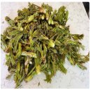 행복한 소꿉놀이 이미지