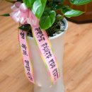 청개구리도서관 이미지