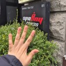 ZERO FIT 2호점 | 강남헬스장 강남 스포애니2호점 PT 등록 후기 (aka. 스레드)