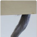 식빵굽는나비 이미지