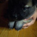 고무신농원 이미지