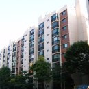 강남-177 이미지