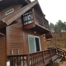 미야네 대게 이미지