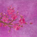 한지에 물들다 이미지