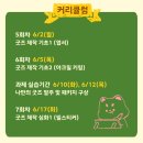 아카데미이룸 이미지