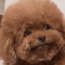 숨한의원 이미지