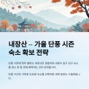 매물도일출민박 이미지