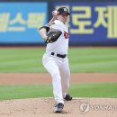 벤자민 이미지