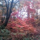 둔내초등학교 이미지