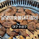 달맞이숯불갈비 | 대구 시지 돼지갈비 맛집 내돈내산ㅣ달맞이숯불돼지갈비 가족외식 추천