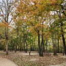 뱀사골야영장 이미지