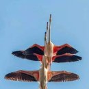 고양대로 이미지