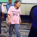 프라임 동물의료센터 이미지