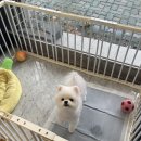 살롱드베베 이미지