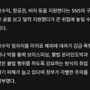 해외 취업사기 조심 이미지